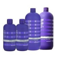 ราคา Elgon Colorcare Silver Shampoo 300/1000 ml แชมพู แอนตี้เยลโล่ Anti Yellow (40981597123)