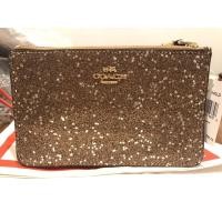 ราคา Coach Glitter กระเป๋าคล้องมือ (12790737031)