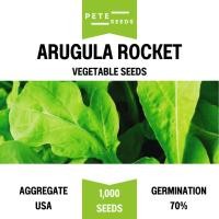 ราคา เมล็ดพันธุ์ ผักสลัด อรูกูล่า ร็อคเก็ต (Arugula Rocket) (40606554514)