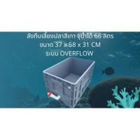 ราคา ลังพลาสติกแบบสูงทึบสีเทา วาล์วขาว ขนาด 37x58x31CM ระบบover flow อ่างเลี้ยงปลาลังทึบ อ่างปลาบอลลูน อ่างปลาเมกาดะ อ่างปลา (52055731751)