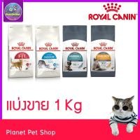 ราคา ⚡[แบ่งขาย 1kg] Royal Canin อาหารแมวเกรดพรีเมียม แบ่งขาย 1 กก. (26540471167)