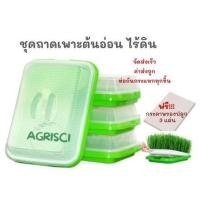 ราคา ถาดเพาะต้นอ่อนไร้ดิน ถาดเพาะผักไมโครกรีน เมล็ดผักต้นอ่อนไมโครกรีน Microgreen tray ถาดปลูกผัก (2976149253)