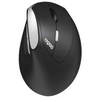 ราคา Rapoo EV250 Wireless 2.4 GHz Optical Mouse (18039240370)