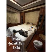 ราคา พรีเมี่ยม 7ฟุต 8ฟุต 9 ฟุต (29857926102)