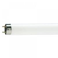 ราคา หลอดนีออน 10W แสงขาว silverliหลอดนีออน ยาว 30ซม. fluorescent หอลอด นีออน T8 10W TL-D 10W/54-765 Cool Day (17751908697)