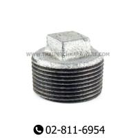 ราคา ปลั๊กอุดเหล็ก ปลั๊กอุดท่อ ปลั๊กอุดเกลียวนอก 1/4" - 2" ข้อต่อ (5937771127)