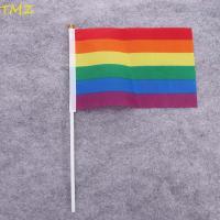 ราคา TMZ14968 10 ชิ้นธงสายรุ้ง, LGBT Rainbow Rainbow Hand Flag, อเนกประสงค์แบบพกพา Vivid สี Mini HandHeld Flag Party ตกแต่ง (47960950673)