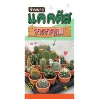 ราคา ป้ายไวนิล แคคตั แนวตั้ง-แนวนอน ขนาด 50x100 ซม.ตาไก่ 4 มุม ป้ายโฆษณา ป้ายอิงค์เจ็ท พิมพ์ป้ายร้านค้า ป้ายสติกเกอร์ ฉลากสิ (26520541629)