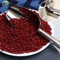ราคา [THEBEST] 8,10,12 นิ้วสแตนเลส Ice Scraper Buffet Candy Bar Scoops Shovel Kitchen (55706993646)