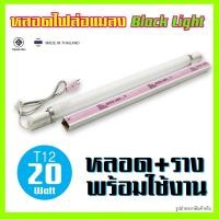 ราคา ชุดรางหลอดแบล็คไลท์ หลอดไฟล่อแมลง 20W T12 (หลอดอ้วน) หลอดไฟดักแมลง ดักยุง+ แถมฟรี ชุดรางอิเล็กทรอนิกส์ silverlight (19888151256)