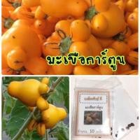 ราคา เมล็ดพันธุ์ มะเขือการ์ตูน 50 เมล็ด มะเขือมิกกี้เม้าส์ มะเขือประดับ มะเขือเต้านมแพะ(ซื้อ 10 แถม 1 คละอย่างได้) /เมล็ดกล้ว (13840902475)