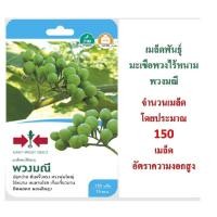 ราคา 5 แถม 1 เมล็ดพันธุ์ มะเขือพวงไร้หนาม พวงมณี ตราศรแดง (6312130108)