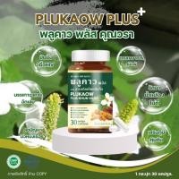 ราคา พลูคาว พลัส คุณวรา Plukaow Plus Khun varaเสริมสร้างภูมิและต้านไวรัสดูแลน้ำเหลืองเสียด้านเชื้้อHiv (24541958867)