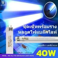 ราคา IWACHI Black Light T10 40W หลอดไฟแบล็คไลท์แสงสีฟ้าน้ำทะเล หลอดพร้อมรางบัสลาสสตาร์ทเตอร์ขานีออนยาว (Fluorescent)แบล็คไลท์ (20615875257)