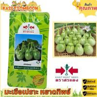 ราคา มะเขือเปราะหยาดทิพย์ เจ้าพระยา เมล็ดพันธุ์ 20 ก. ตราศรแดง (8048955977)