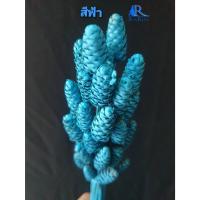 ราคา Rarin ดอกกระถินทุ่ง ทำสีเกรด A (สีฟ้า ) สวยมากกกก ใช้ตกแต่งแจกัน แต่งร้าน พร๊อพถ่ายรูป แต่งโต๊ะอาหาร (21276828965)