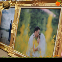 ราคา กรอบหลุยส์รูป 20x30นิ้ว 20x24นิ้วแต่งงานสีขาว-สีทอง พร้อมอัดรูปฟรี ดอกหลุยส์ใหญ่ (13604618365)