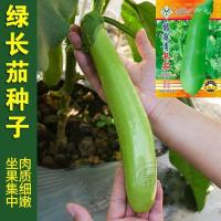 ราคา มะเขือยาวสีเขียวเมล็ดผักบ้านไร่ผักสวนลานฤดูใบไม้ผลิฤดูใบไม้ร่วงมะเขือยาวสีเขียวมะเขือยาวเมล็ดผัก (48357848050)