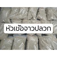 ราคา หัวเชื้อจุลินทรีย์จาวปลวกแท้ 100%..ขนาด 500 กรัม (8829082193)