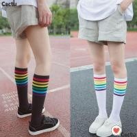 ราคา ถุงเท้าข้อยาว ผ้าฝ้าย ลายทาง สีรุ้ง (1060844686)