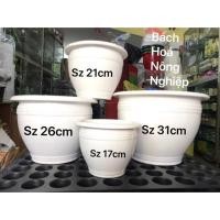 ราคา กระถางพลาสติกลายครามเทียมขนาด21ซม,26ซม.และ31ซม (56760656274)