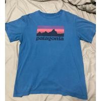 ราคา เสื้อยืด Patagonia มือสอง (18491069645)