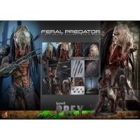 ราคา Hot Toys TMS114 : Feral Predator [PREY] 1:6 (ของใหม่ไม่แกะ) (40716889974)