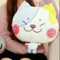 ราคา ตุ๊กตาผ้าห่มซุกมือได้ หมอนผ้าห่ม ตุ๊กตาแมว (839037364)