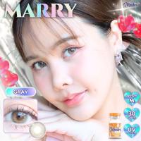 ราคา คอนแทคเลนส์ ❤️Size : M❤️ รุ่น Marry (Montra) สี : Brown / Gray / Almond Brown (27061462630)