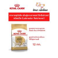 ราคา ( 12 กก.) Labrador Retriver Adult / Royal Canin สำหรับสุนัขพันธุ์ลาบราดอร์ รีทรีฟเวอร์ (18718211285)