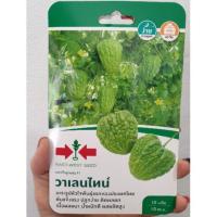 ราคา เมล็ดมะระจีน วาเลนไทน์ 10เมล็ด ศรแดง (5425210994)