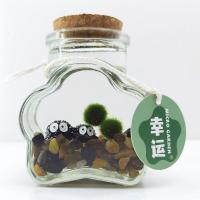 ราคา 海藻球小众礼物水生植物diy生态瓶桌面室内办公室生日稀奇小玩意5.6 Seaweed ball niche gift aquatic plant DIY ecological bottle desktop indoor office birthday novelty gadget 5.6 (53760010970)