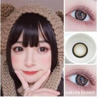 ราคา คอนแทคเลนส์ บิ๊กอาย รุ่น Sakura สีเทา/gray สีตาล/brown มีค่าสายตา (0.00)-(-10.00) (26874818642)