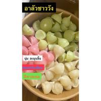 ราคา ขนมอาลัวชาววัง 500 กรัม สูตร โบราณดั้งเดิม เพชรบุรี (27563982577)