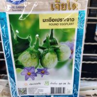 ราคา เมล็ดพันธุ์มะเขือเปราะจาว (21995764765)