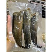 ราคา ปลาดุกร้า ปลาดุกหอม ปลาดุกเค็ม 3ตัว (25157454875)