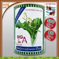 ราคา เมล็ดพันธุ์ ผักกาดกวางตุ้ง กวางตุ้งดอกต้นขาว บิ๊กเอ BigA (80, 500 กรัม) เมล็ดกวางตุ้งดอก เมล็ดพันธุ์ผักสวนครัว ตราปลาทอง (14912755724)