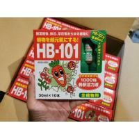 ราคา ล้างสต๊อก!! HB-101 , Hyponex ampoule อาหารเสริมพืช แอมเพิล (12347301732)