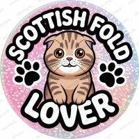 ราคา สติ๊กเกอร์ติดรถยนต์ ป้ายแม่เหล็กติดรถ ป้ายดูดกระจก แต่งรถ แมว cat Lover สก็อตติช โฟลด์ SCOTTISH FOLD (27738392719)