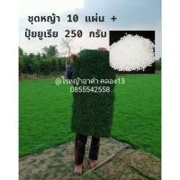 ราคา ชุดหญ้าปูสนาม 10 แผ่น/ 5 ตรม พร้อมปุ๋ยบำรุง ครบเซต หญ้านวลน้อย หญ้าญี่ปุ่น หญ้ามาเลเซีย หญ้าสด (50700581221)
