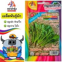 ราคา ม้ารุ้ง ผักซอง ม้ารุ้ง Z018 #ผักเขียวน้อยใบสร้อย เมล็ดพันธุ์ ผักกาด เมล็ดพันธุ์ผัก เมล็ดผัก ผักสวนครัว ตราม้ารุ้ง (42473206110)