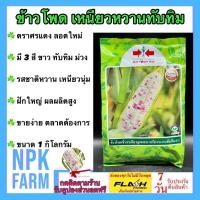 ราคา ข้าวโพด เหนียวหวานทับทิม หมดอายุ 13/12/2569 (ขนาด 1 กิโลกรัม) ข้าวโพดหวาน ฝักมี 3 สี ขาว ทับทิม ม่วง (25185147485)