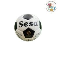 ราคา SESA ลูกฟุตบอล ขาว-ดำ เบอร์ 3 (26442406895)