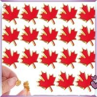 ราคา 20 ชิ้น Maple Lapel Pin Canadian Flag Pins เสื้อผ้าขนาดใหญ่ Canada Leafl ฤดูใบไม้ร่วง (44281194650)