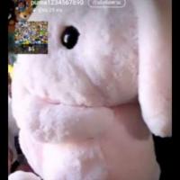 ราคา สินค้ากระต่ายอมูสรวม300 (4411172451)