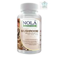 ราคา Nola Superfoods Mushroom โนล่า เห็ดสกัด 3ชนิด 60 วีแกนแคปซูล เห็ดหลินจือ เห็ดหลินจือเห็ดไมตาเกะ เห็ดชิตาเกะ(เห็ดหอม) (27014624873)