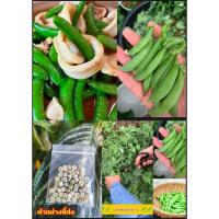 ราคา เมล็ดถั่วลันเตาหวาน ถั่วลันเตาหวาน ถั่วลันเตา หวาน Pisum sativum / pihtihttir (28283263291)