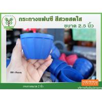 ราคา กระถางต้นไม้ สีชมพู สีฟ้า ขนาด 2.5 นิ้ว เป็นพลาสติก PP เกรด A แข็งแรง ทนทาน (4136547951)