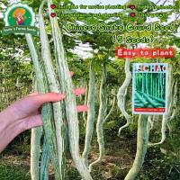 ราคา 5 เมล็ด ยาว 1เมตร เมล็ดบวบงู Giant Long Snake Gourd Seeds เมล็ดพันธุ์บวบงู เมล็ดพันธุ์ผัก เมล็ดพันธุ์ผักสวนครัว (40773353865)