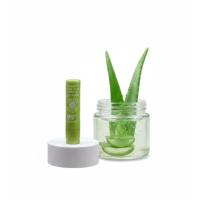 ราคา ลิปมันว่านหางจระเข้ 99% Aloe Vera ลิปมันเปลี่ยนสี พร้อมบำรุง (53052113734)